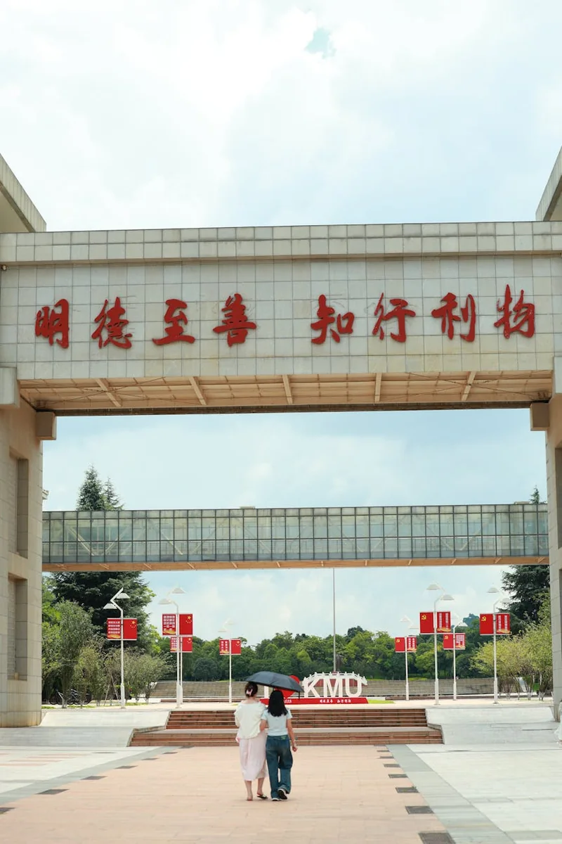 信息整理后的界面样貌，展示分类清晰的分析结果